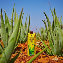 Gel Aloe Vera